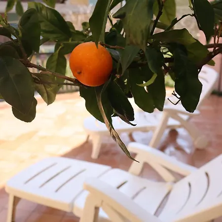 Giulio's Terraces In The Bay 아파트 포르토베네레